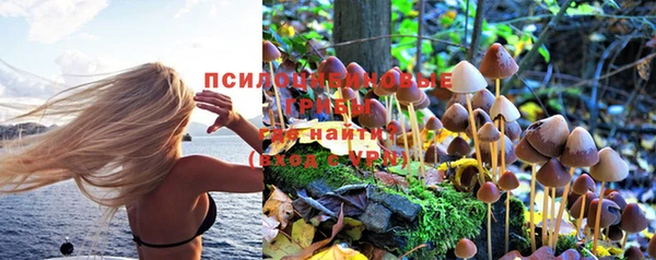 альфа пвп Козловка