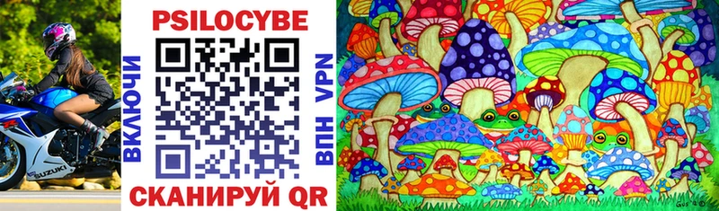Галлюциногенные грибы Magic Shrooms  Купить закладки  Белово 